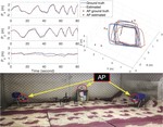 WiSion: Bolstering MAV 3D Indoor State Estimation by Embracing Multipath of WiFi